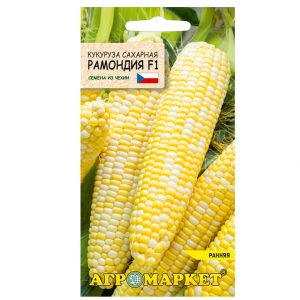 Кукуруза сахарная Рамондия F1 2 г семена купить цены
