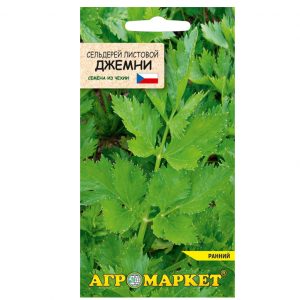 Сельдерей листовой Джемни 0,2 г семена купить Минск цены
