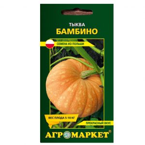 Тыква Бамбино 5 шт семена купить Минск цены доставка